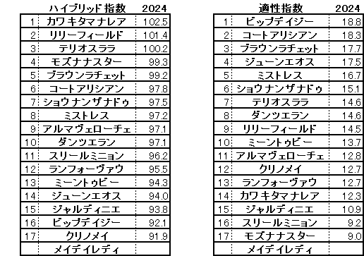 2024　阪神ＪＦ　HB指数